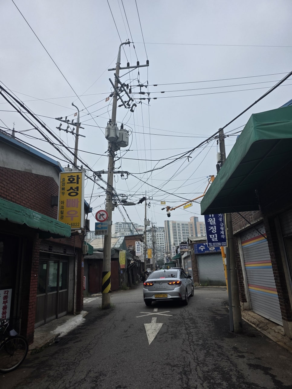 토리냥 1