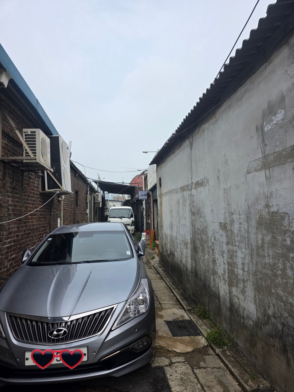토리냥 2